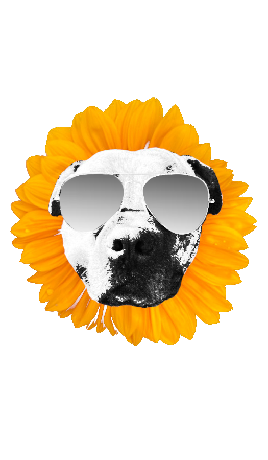 Ruff Life Farm Logo